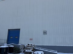 Theodor Pallady Bucuresti