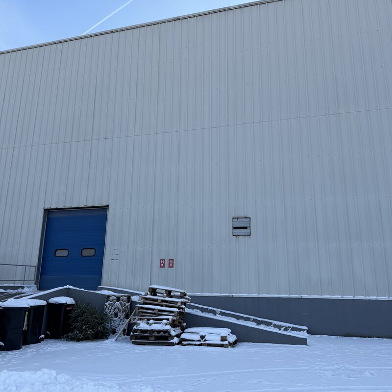 Theodor Pallady Bucuresti