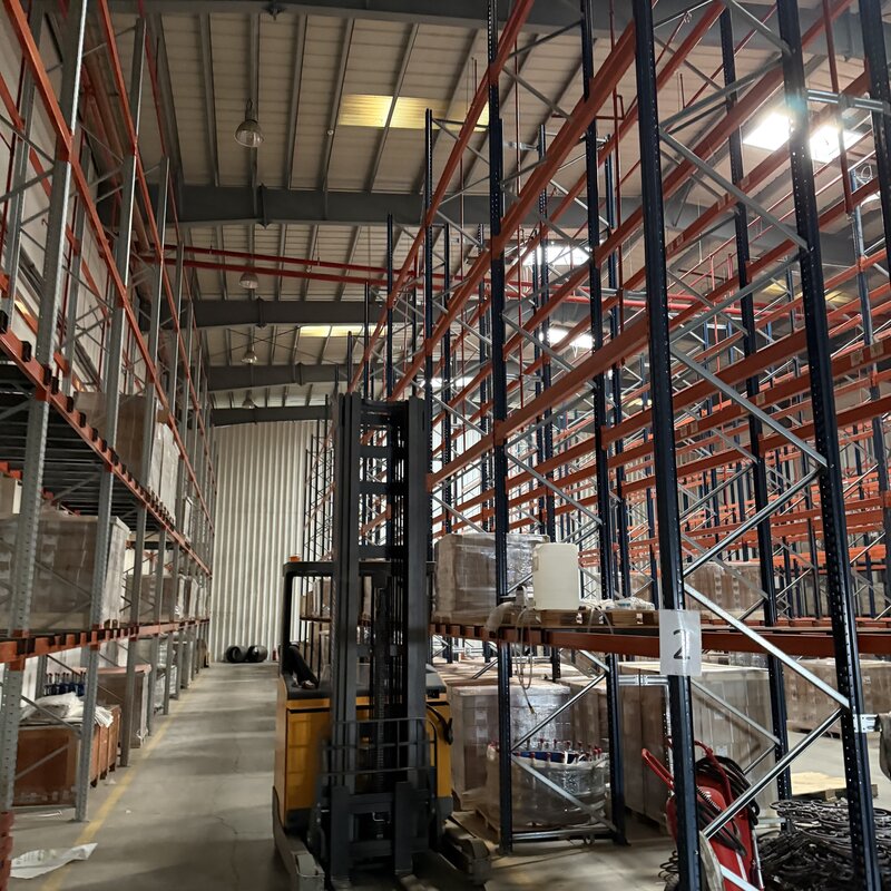 Theodor Pallady Bucuresti